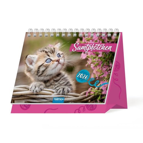 Trötsch Aufstellkalender Samtpfötchen 2026: Aufstellkalender Tischkalender Trötsch Aufstellkalender Samtpfötchen 2026: Aufstellkalender Tischkalender von TROTSCH