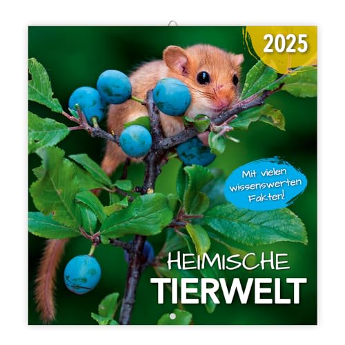 Trötsch Broschürenkalender Heimische Tierwelt 2025: Wandplaner von Trötsch Verlag GmbH & Co. KG