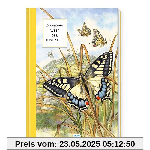 Trötsch Sachbuch Die großartige Welt der Insekten: Entdeckerbuch Beschäftigungsbuch Spielbuch Trötsch Sachbuch Die großartige Welt der Insekten: Entdeckerbuch Beschäftigungsbuch Spielbuch