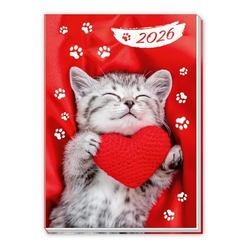 Trötsch Taschenkalender A7 Katze 2026: Mini-Terminkalender Trötsch Taschenkalender A7 Katze 2026: Mini-Terminkalender von TROTSCH