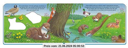 Trötsch mein erstes Fensterbuch Tierkinder in der Natur: 22 x 14cm, 10 Seiten