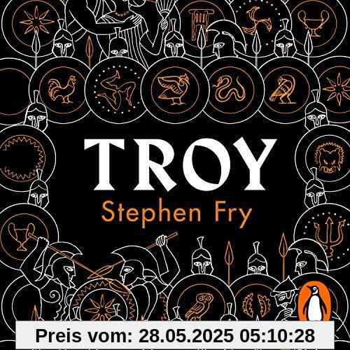 Troy: Our Greatest Story Retold (Stephen Fry’s Greek Myths, Band 3)