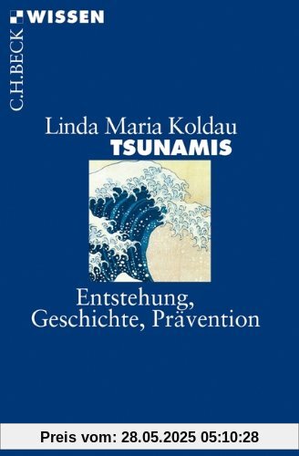 Tsunamis: Entstehung, Geschichte, Prävention Tsunamis: Entstehung, Geschichte, Prävention