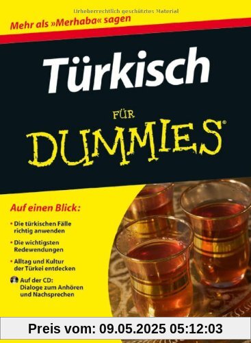 Türkisch für Dummies (Fur Dummies)