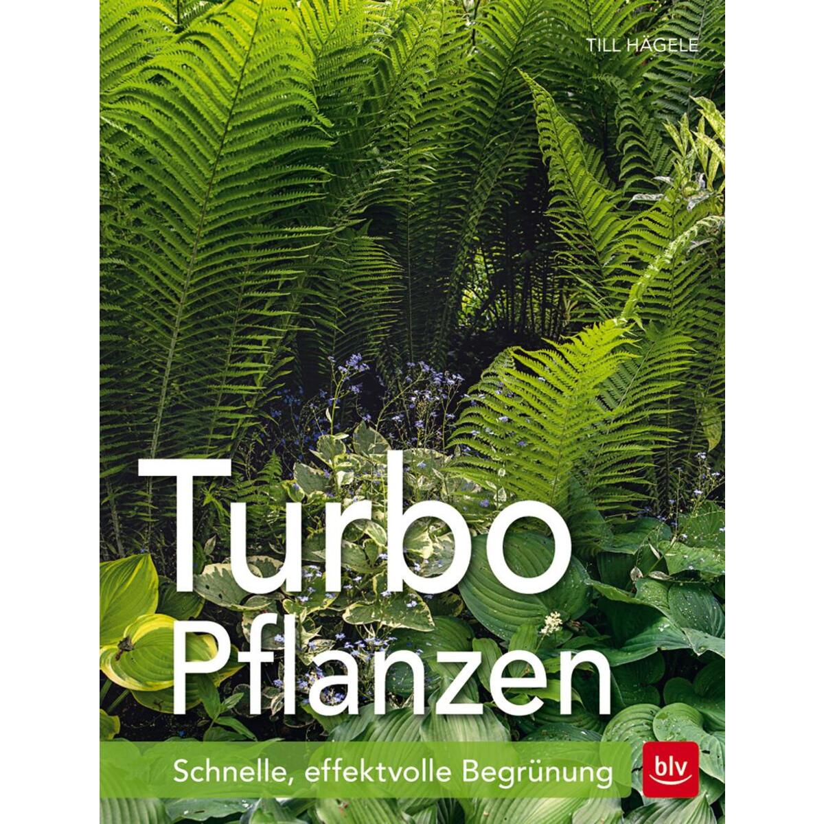 Turbo-Pflanzen von Blv