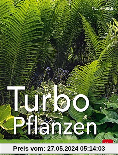 Turbo-Pflanzen: Schnelle, effektvolle Begrünung