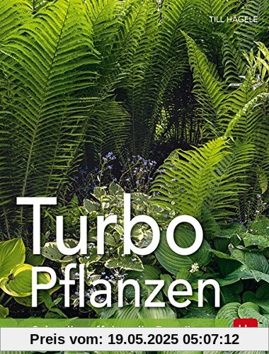 Turbo-Pflanzen: Schnelle, effektvolle Begrünung