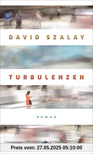 Turbulenzen: Roman