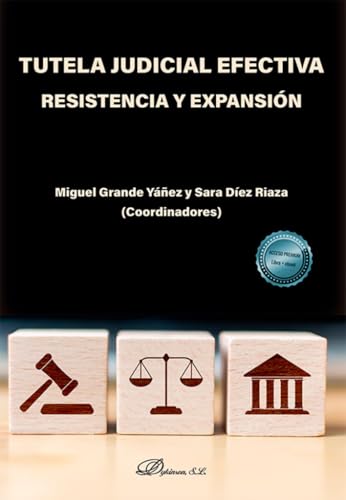 Tutela judicial efectiva. Resistencia y expansión von Editorial Dykinson, S.L.