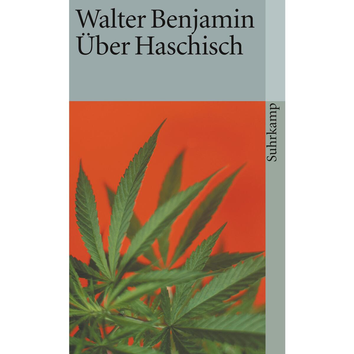 Über Haschisch Über Haschisch von Suhrkamp Verlag