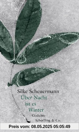 Über Nacht ist es Winter: Gedichte