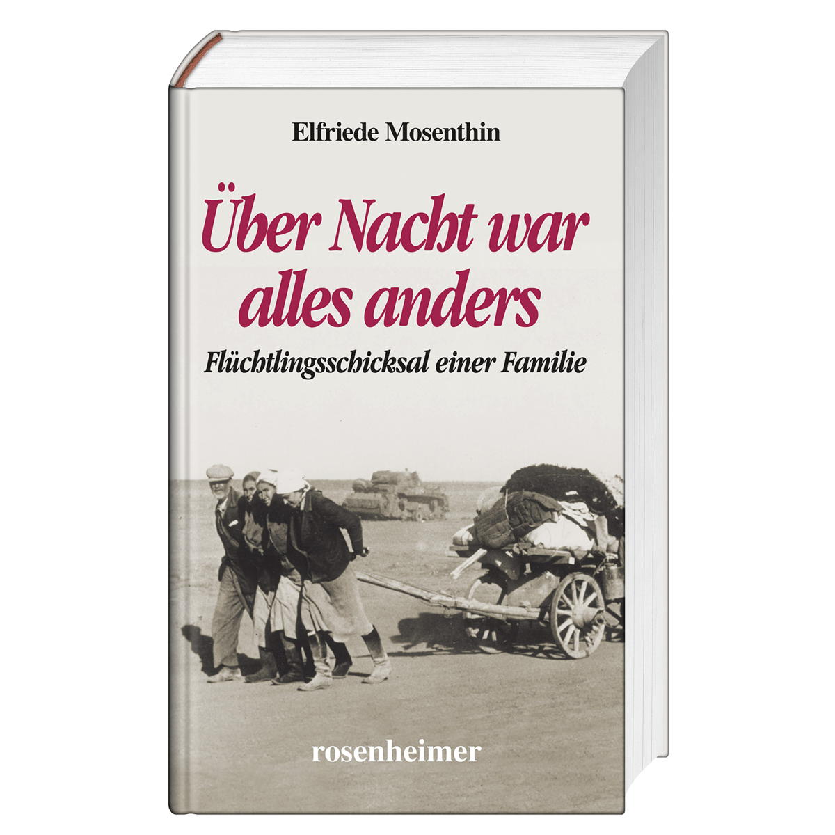 Über Nacht war alles anders von Rosenheimer Verlagshaus