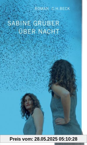 Über Nacht: Roman