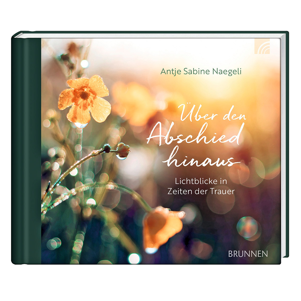 Über den Abschied hinaus Über den Abschied hinaus von Brunnen-Verlag GmbH