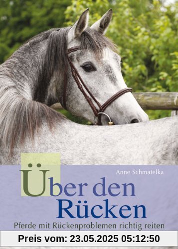 Über den Rücken: Pferde mit Rückenproblemen richtig reiten