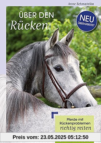 Über den Rücken: Pferde mit Rückenproblemen richtig reiten