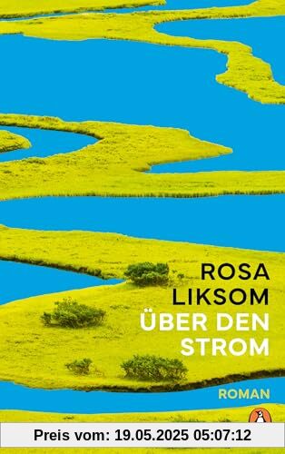 Über den Strom: Roman Über den Strom: Roman