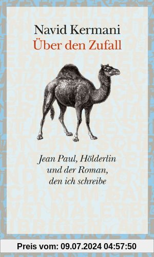 Über den Zufall: Jean Paul, Hölderlin und der Roman, den ich schreibe