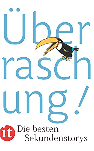 Überraschung!: Die besten Sekundenstorys (insel taschenbuch) von Insel Verlag GmbH