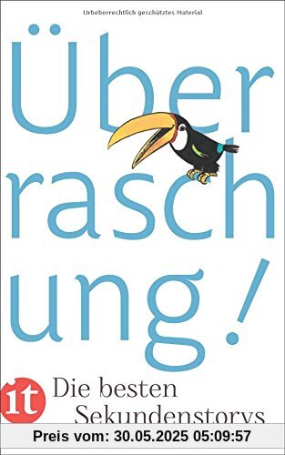 Überraschung!: Die besten Sekundenstorys (insel taschenbuch)