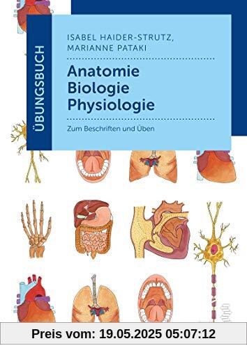 Übungsbuch Anatomie - Biologie - Physiologie: Zum Beschriften und Üben