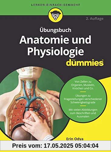 Übungsbuch Anatomie und Physiologie für Dummies