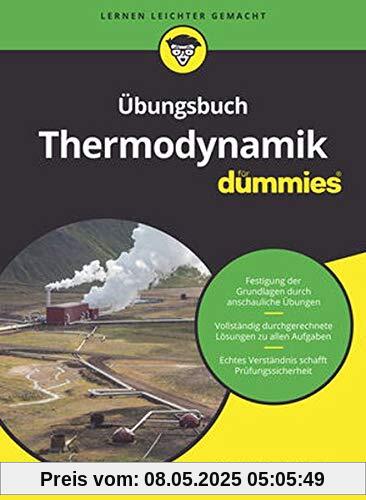 Übungsbuch Thermodynamik für Dummies