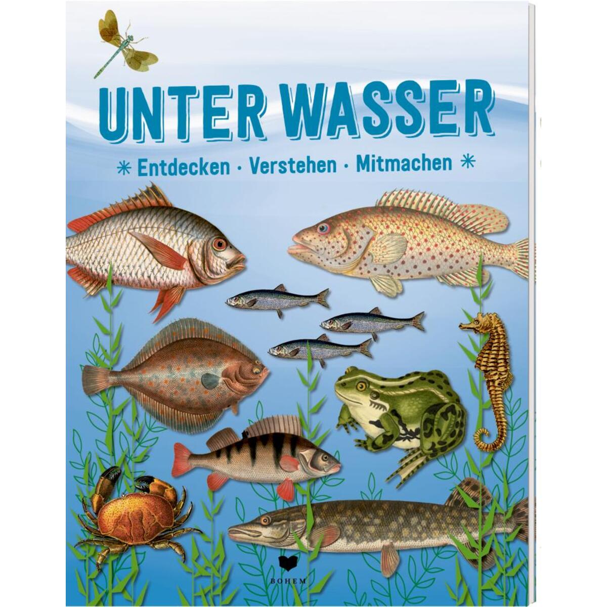UNTER WASSER von Bohem Press Ag