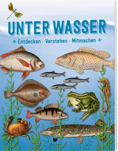 UNTER WASSER: Entdecken Verstehen Mitmachen