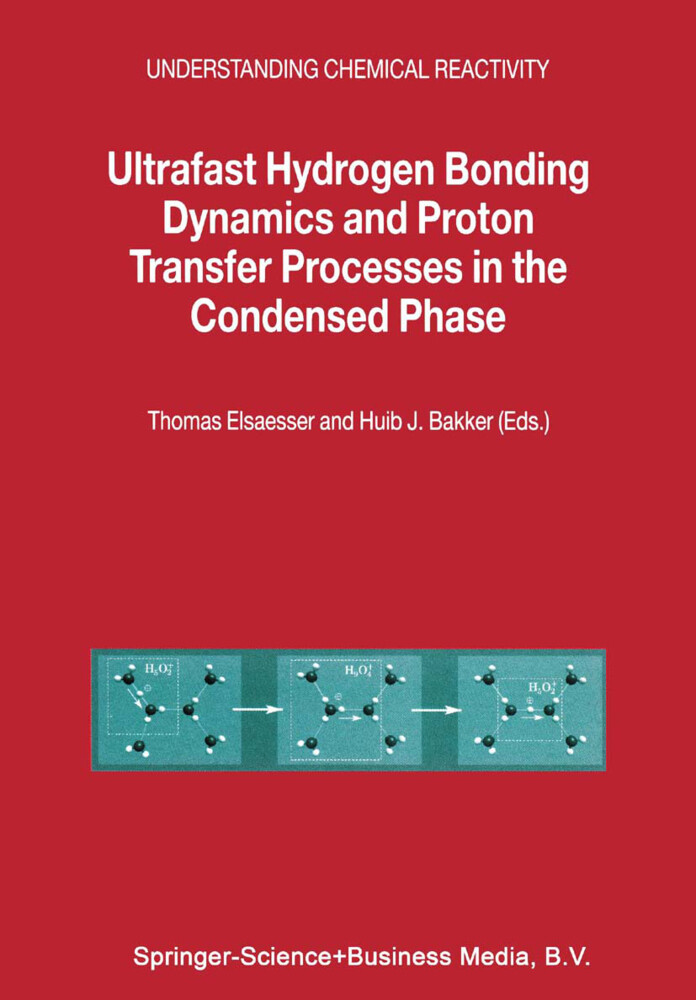 Ultrafast Hydrogen Bonding Dynamics and Proton Transfer Processes in the Condensed Phase von Springer Netherlands
