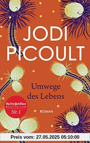 Umwege des Lebens: Roman Umwege des Lebens: Roman