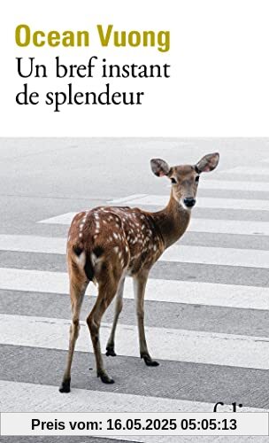 Un bref moment de splendeur