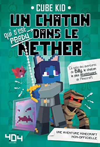 Un chaton qui s'est perdu dans le Nether -Tome 2 (2)