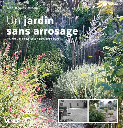 Un jardin sans arrosage: 20 exemples de style méditerranéen