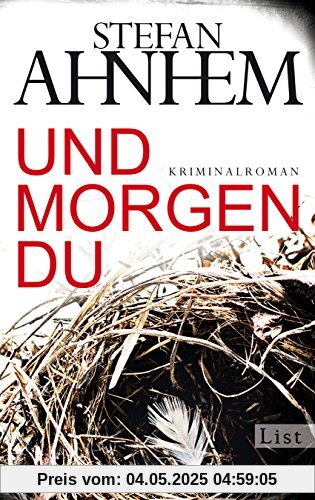 Und morgen du: Kriminalroman (Ein Fabian-Risk-Krimi, Band 1)