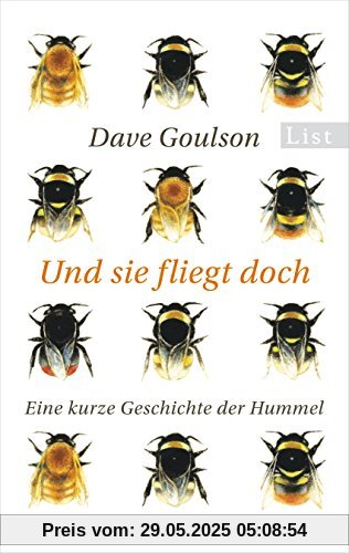 Und sie fliegt doch: Eine kurze Geschichte der Hummel