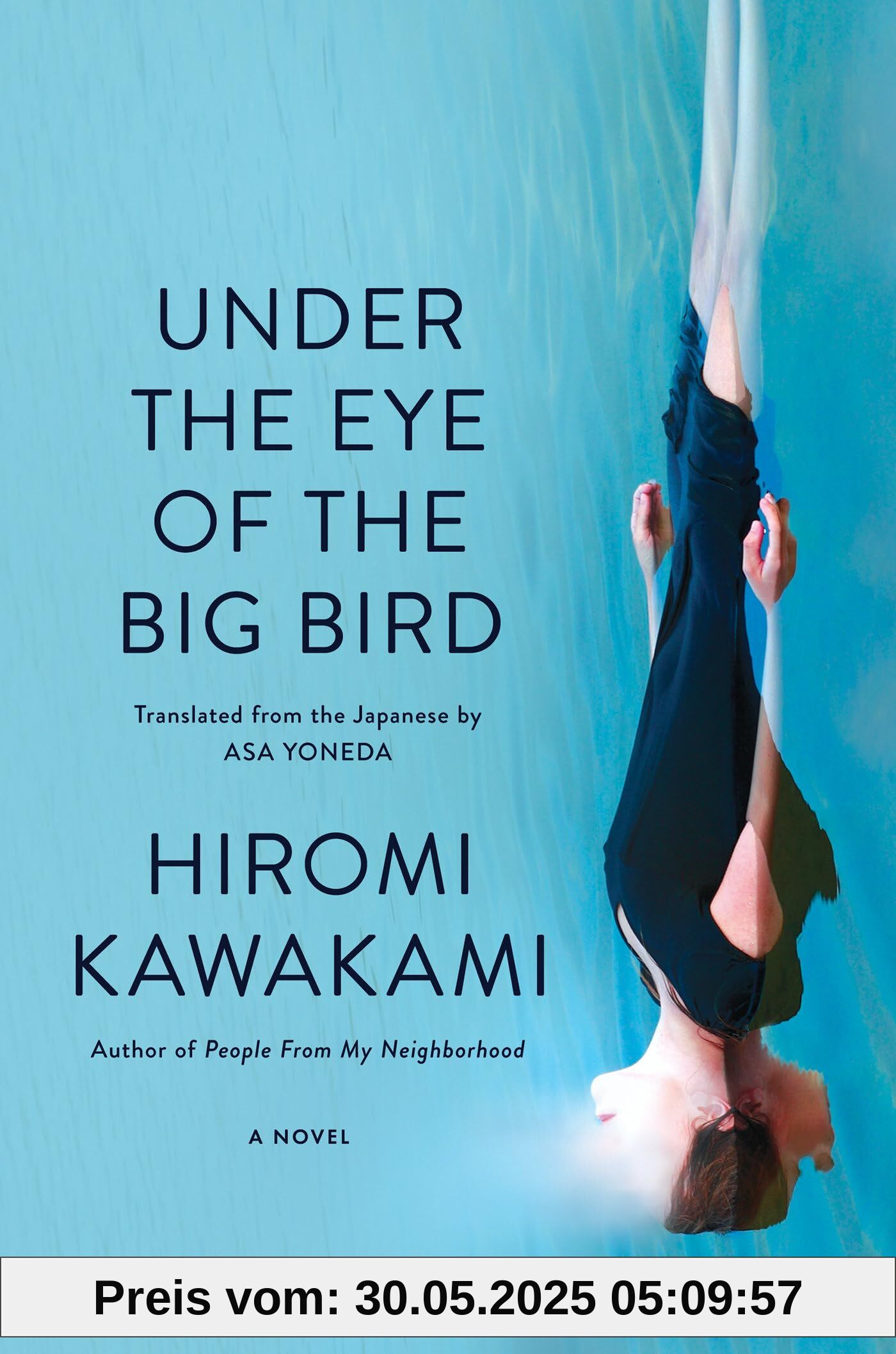 Under the Eye of the Big Bird: A Novel Under the Eye of the Big Bird: A Novel