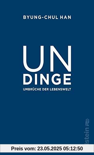 Undinge: Umbrüche der Lebenswelt