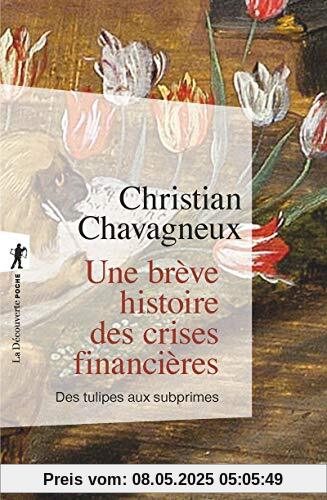 Une brève histoire des crises financières (Poche / Essais)