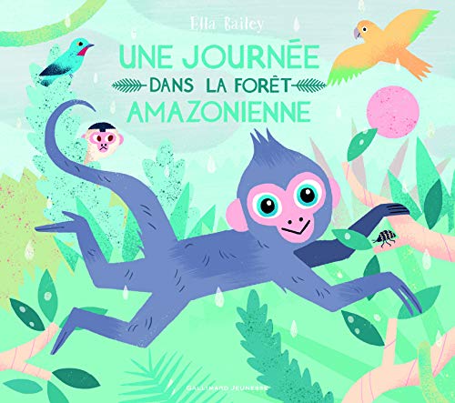 Une journée dans la forêt amazonienne von Gallimard Jeunesse
