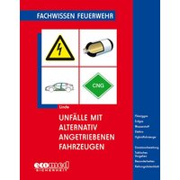 Unfälle mit alternativ angetriebenen Fahrzeugen