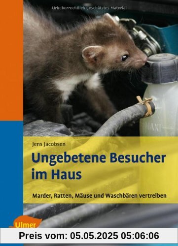 Ungebetene Besucher im Haus - Marder, Ratten, Mäuse und Waschbären vertreiben