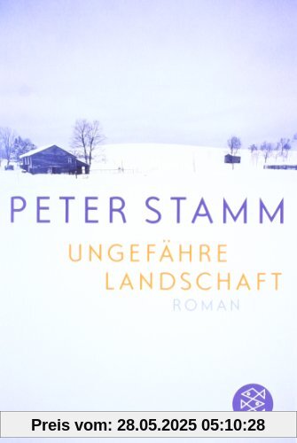 Ungefähre Landschaft: Roman