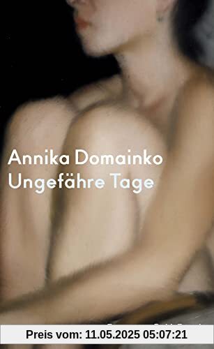 Ungefähre Tage: Roman