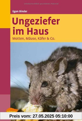 Ungeziefer im Haus: Motten, Mäuse, Käfer & Co
