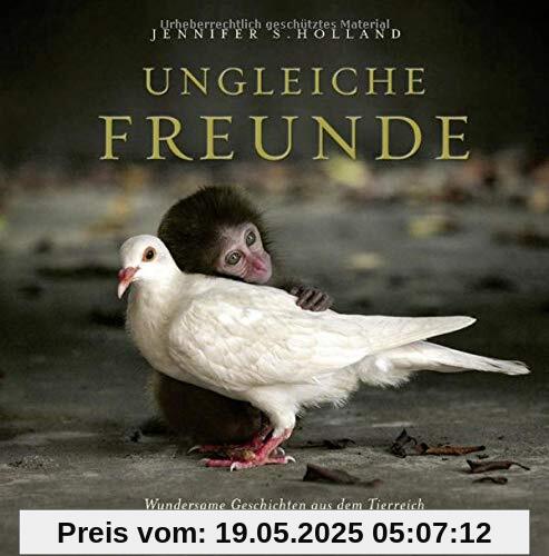 Ungleiche Freunde: Wundersame Geschichten aus dem Tierreich