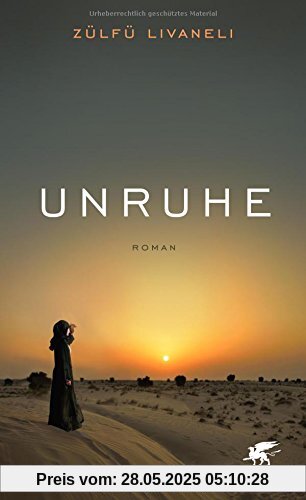 Unruhe: Roman