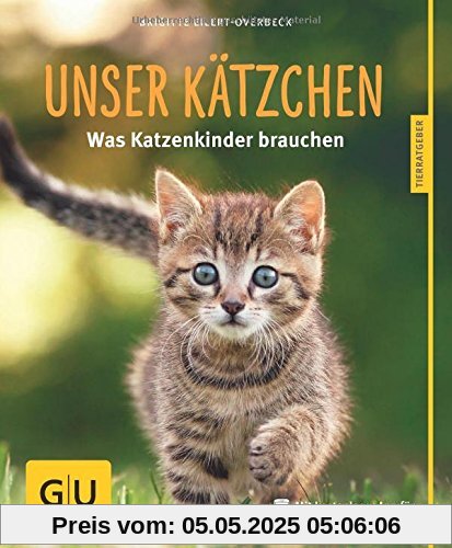 Unser Kätzchen: Was Katzenkinder brauchen