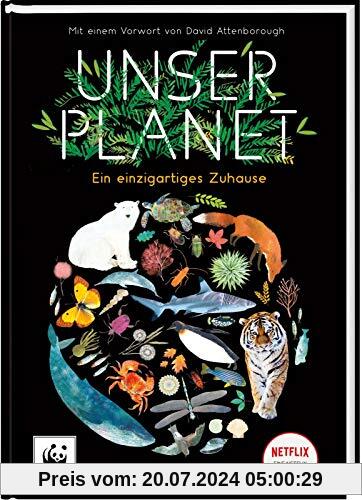 Unser Planet: Ein einzigartiges Zuhause | Sachbuch für Kinder ab 6 Jahren über unsere Natur und Tierwelt. Das Kinderbuch zur Netflix-Erfolgsserie