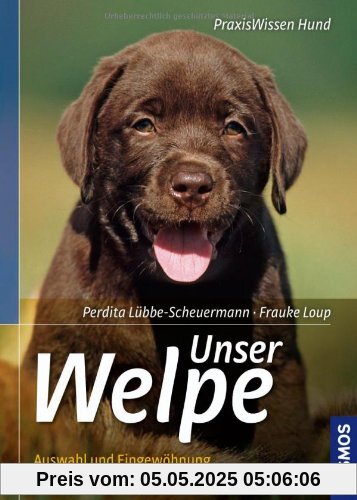 Unser Welpe: Auswahl und Eingewöhnung, Erziehung und Beschäftigung: Auswahl und Eingewöhnung - Haltung, Erziehung und Beschäftigung